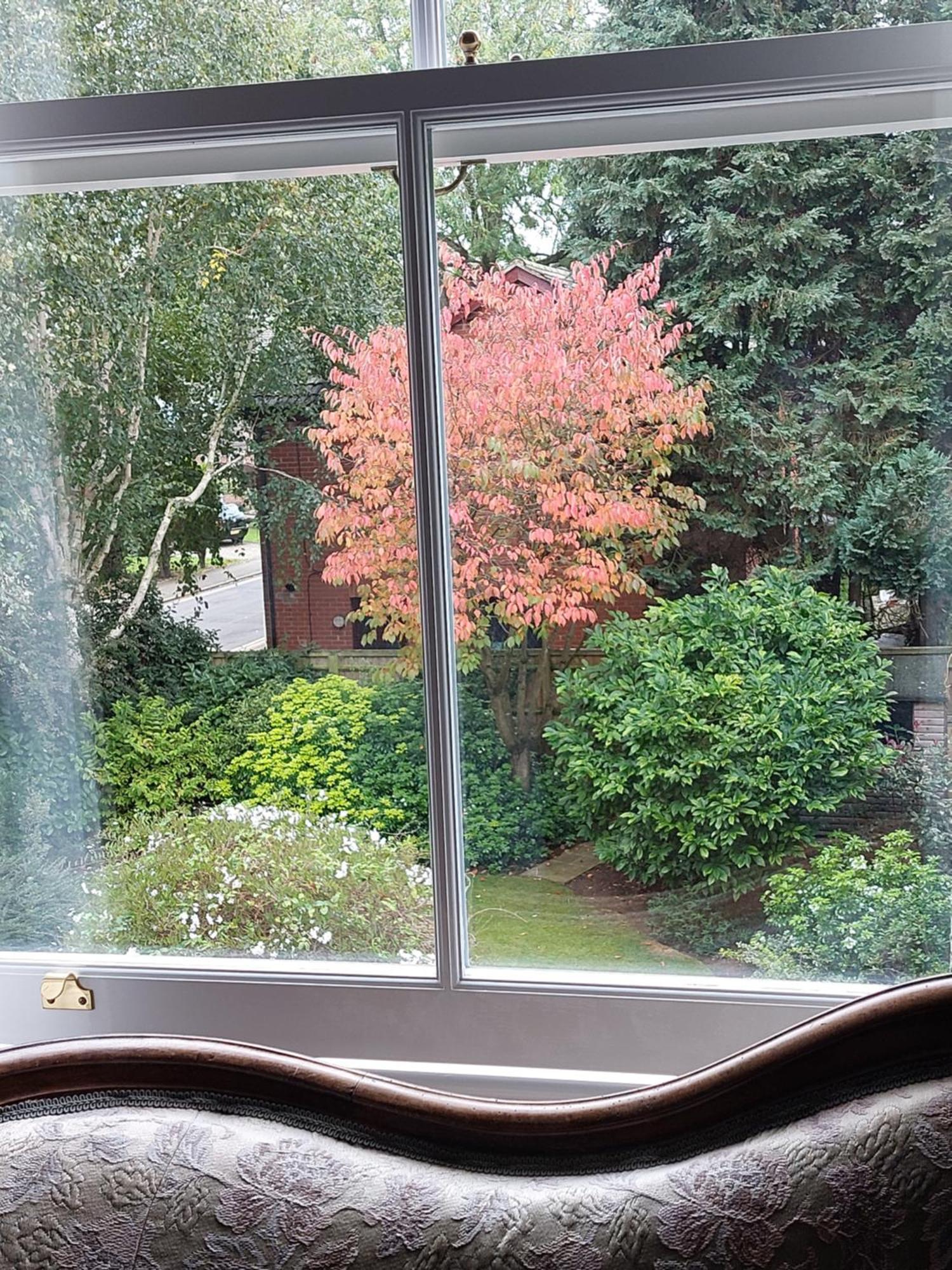 Banbury Cross B&B Dış mekan fotoğraf